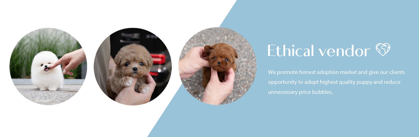 683090c21c1a01a06ffbdec789b50294